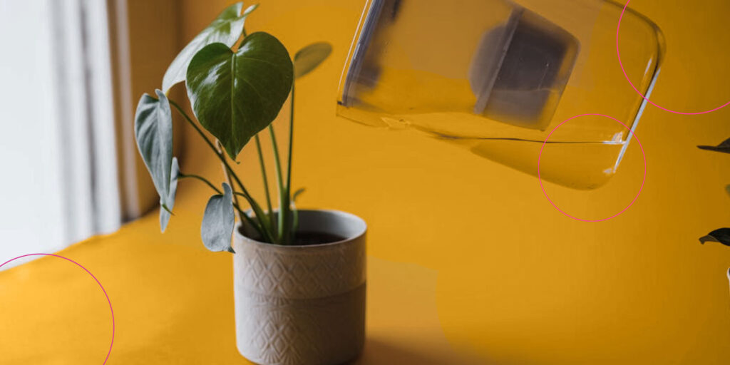 10 tips on how to build credit