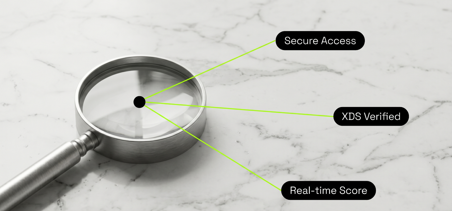 where to check my credit score